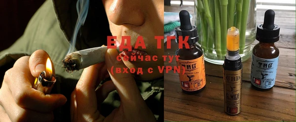 гашик Верея