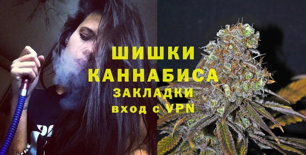 сатива Верхний Тагил