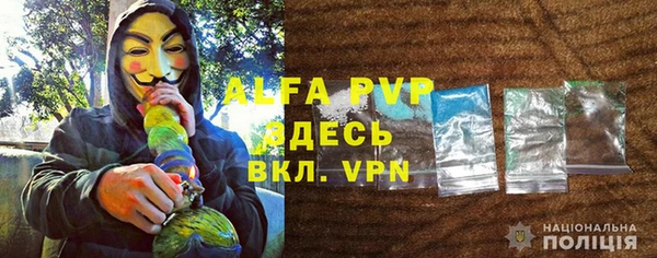 сатива Верхний Тагил