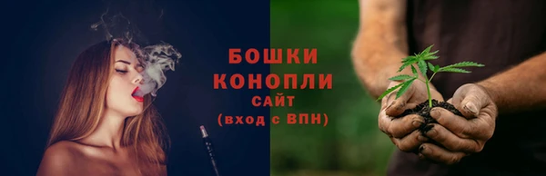 сатива Верхний Тагил