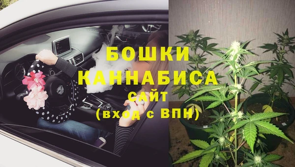 гашик Верея