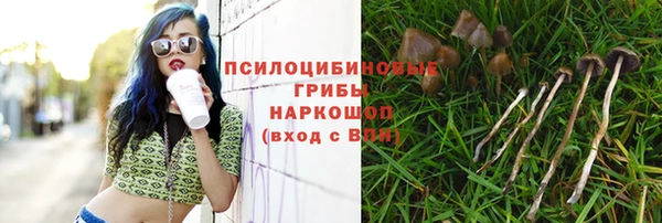 гашик Верея