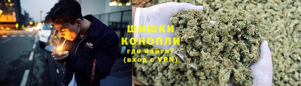 гашик Верея