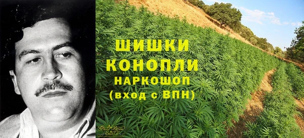 гашик Верея