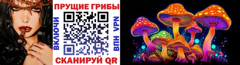 наркота Дивногорск Псилоцибиновые грибы MAGIC MUSHROOMS